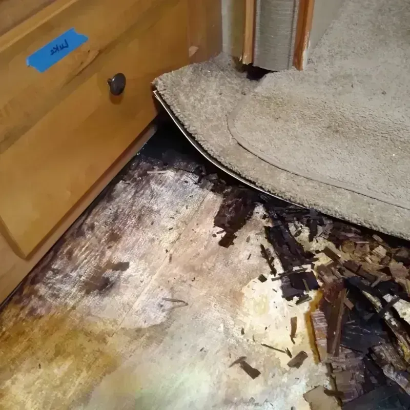 Best Wood Floor Water Damage Service in Pembroke Pines, FL